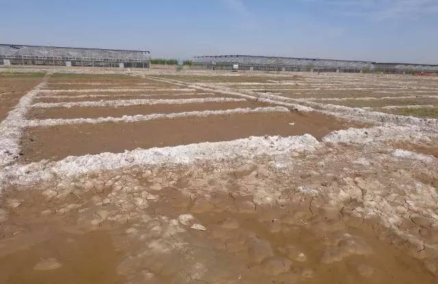 新政引领土壤治理 技术集成驱动土地质量提升与生态修复新突破